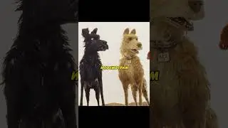 Собаки дерутся за еду😬 | Фильм: Остров Собак 
