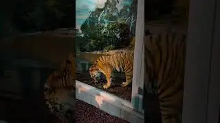 Trending video #trending #viralvideo #shorts