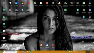 explorer Linux soft VS HDD SSD (Manjaro 18 XFCE)