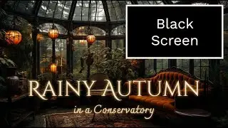 8 h BLACK SCREEN Rainy Autumnal Day in a Conservatory Ambience and Music 🍂 | cozy autumn atmosphere