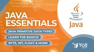 Java Essentials: Mastering Primitive Data Types