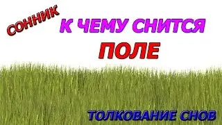 Сонник к чему снится поле толкование