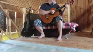 Ты неси меня река. Любэ. Текст А.Митта, Музыка И.Матвиенко. Гитара Aria AK-45. Учусь играть заново.