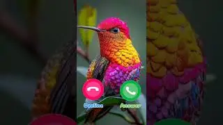 #ringtone #smartphone #music #ringtones