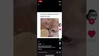 ТОХА Е**ШИТЬ УЖЕ ДРОВА