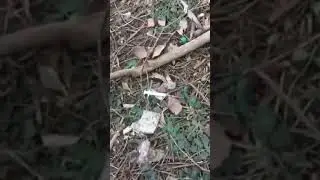 Читатель сообщает наркоманы колются в Кривом Роге прямо рядом с детским садом