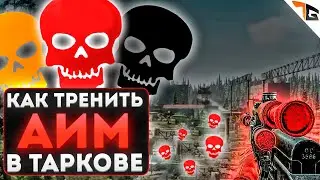 Как тренировать аим в таркове