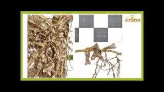 Курс "Технология бинарных посевов а системе NO-till" Лекция №7.  Часть 3.