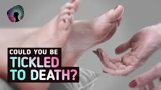 What Happens When You're Tickled for 24 Hours Straight?