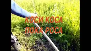 Ручная коса , косим траву. Коси коса пока роса.