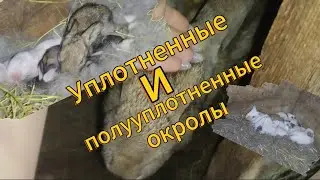 Уплотненные и полууплотненные окролы 