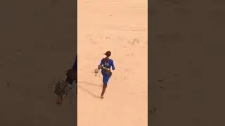 #Fallout