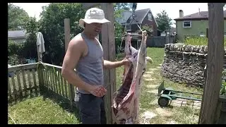 Butchering a Sheep with Derek Nance- How to slaughter and process fresh sheep meat humanely.