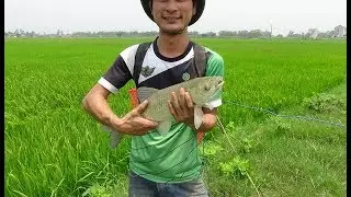 Bắt được cá bự tự nhiên lần trước để hụt