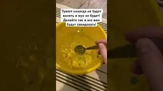 Туалет никогда не будет вонять и мух не будет! Делайте так и все вам будут завидовать! 
