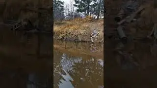 легендарный трактор