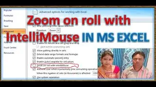 Zoom on roll with IntelliMouse IN MS EXCEL ,advance setting in excel, excel. Microsoft excel,