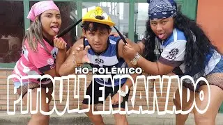 Pitbull Enraivado - Ho Polêmico - Coreografia Styllu Dance