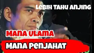 Ternyata Anjing Lebih Tahu