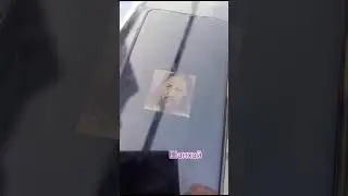 Наталья Стальная-Альгиз Шамана в Шанхае.
