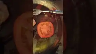 Пророк Санбой нашёл необычный помидор. Немцы и до помидоров добрались...