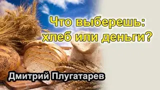 Что выберешь: хлеб или деньги? / Плугатарев Дмитрий
