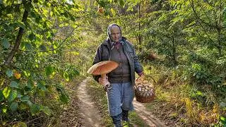 LONELY Grandma & Son in CARPATHIAN Village. Mushroom picking. Hard Mountain Life. Ancient Traditions