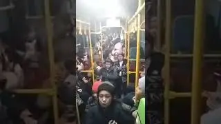 Қазақ балдары шулатты 