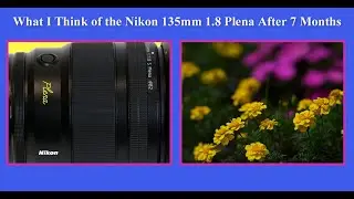 What I Think of the Nikon 135mm 1.8 Plena After 7 Months