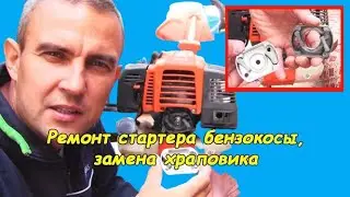 Repairing the starter of a lawn mower (replacing the ratchet)