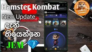 Hamster Kombat අලුත් update එක | ඔයාගෙ coin වලට මොකද උනෙ | @TECHA856