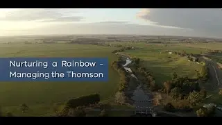 Nurturing a rainbow  - Managing the Thomson