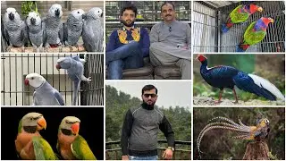 Multan Sunday Birds Rasheedabad 27 August 2024 Part 2