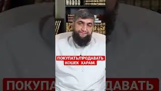 Продавать кошек харам?