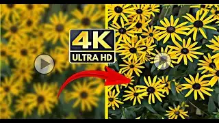 How to enhance video quality || Increase video quality video 4k convert