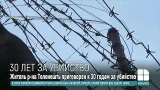 Житель района Теленешть получил 30 лет тюрьмы за жестокое убийство