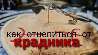 КРАДНИКИ. КАК УБРАТЬ КРАДНИКА, ПАРАЗИТА.