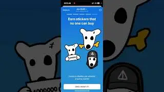 Листинг DOGS перенесли! Время узнать новые сроки и перспективы