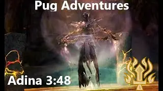 Pug Adventures | Adina 3:48 Warrior PoV  | 4x Pillar Skip