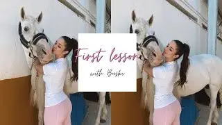 FIRST IN HAND LESSON WITH MY NEW STALLION BUSKI