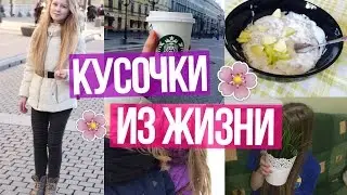 Кусочки из Жизни ☼