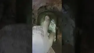 КАК ЖЕ ТАК. РЕДКИЕ ВСЕ ПОПАДАЮТСЯ. ЭТО ФАРТ. ЭТО ФАРТ#короткоевидео #короткое #shorts #short