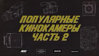 На какие камеры снимают кино. Arri Alexa Mini FL, Red Monstro, Panavision XL2, Sony F65.