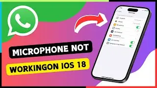How to Fix Microphone Not Working On WhatsApp In iPhone (2024)
