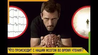 Что происходит с нашим мозгом во время чтения?