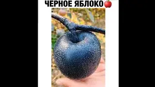 Подборка самых популярных роликов из Инстаграм.