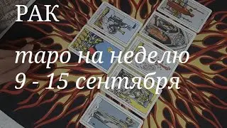 РАК ТАРО расклад на неделю с 9 по 15 сентября 2024 года.