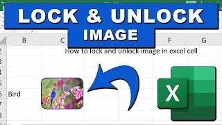 How to lock and unlock image in Microsoft Excel cell