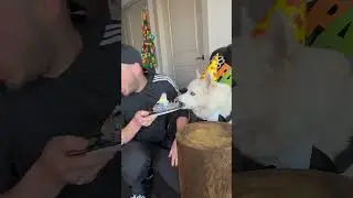 🎉🎉День Рождения Тортика🥳🥳 