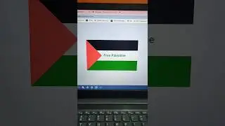 🌐 Support  Palestine 🇵🇸🇵🇸🤲 through my coding skills | #short